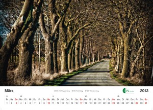 RIV-Kalender 2013 - März