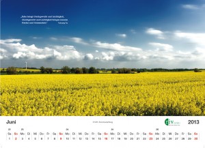 RIV-Kalender 2013 - Juni